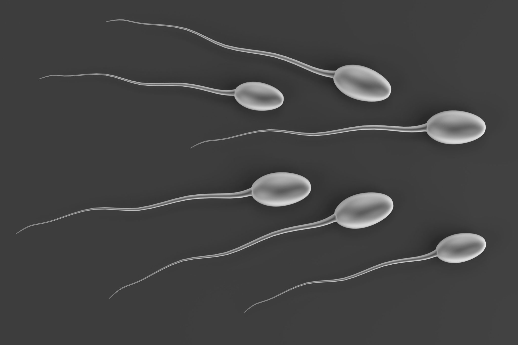 Sperm girl