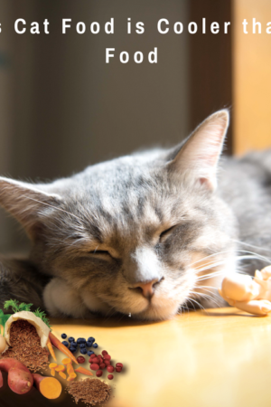 5 Ways Cat Food is Cooler than any Food