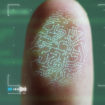 Fingerprint