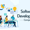 Software Development Company